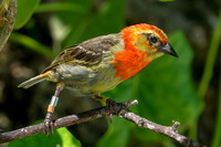 DSC01405