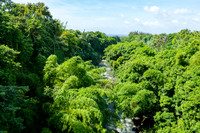 DSC00792