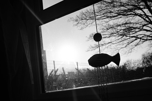 DSC08540