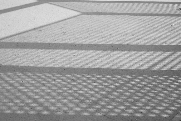 DSCF7641
