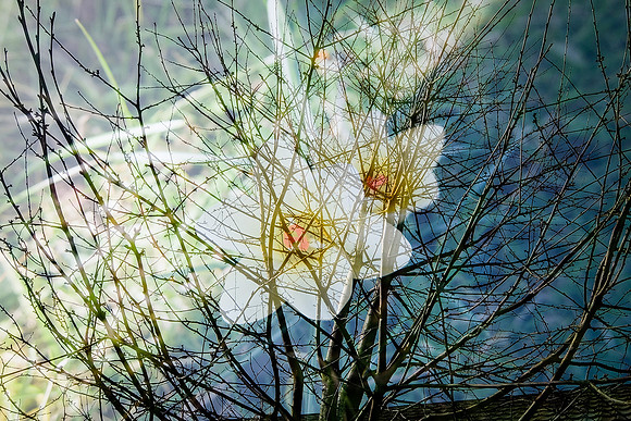 DSCF7043
