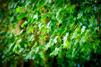 DSC01204