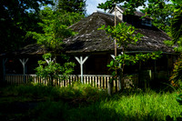 DSC00709